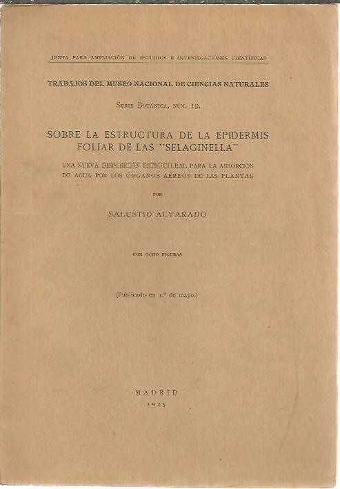 41036