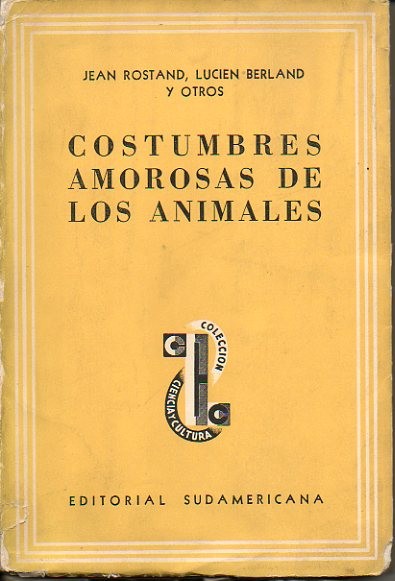 82423