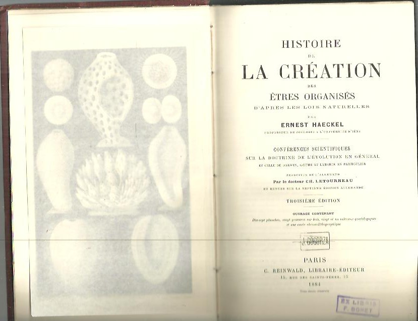 HISTOIRE DE LA CREATION DES TRES ORGANISES D'APRES LES LOIS NATURELLES. CONFERENCES SCIENTIFIQUES SUR LA DOCTRINE DE L'EVOLUTION EN GENERAL ET CELLE DE DARWIN, GOETHE ET LAMARCK EN PARTICULIER.