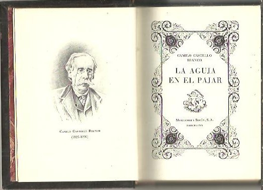 LA AGUJA EN EL PAJAR.