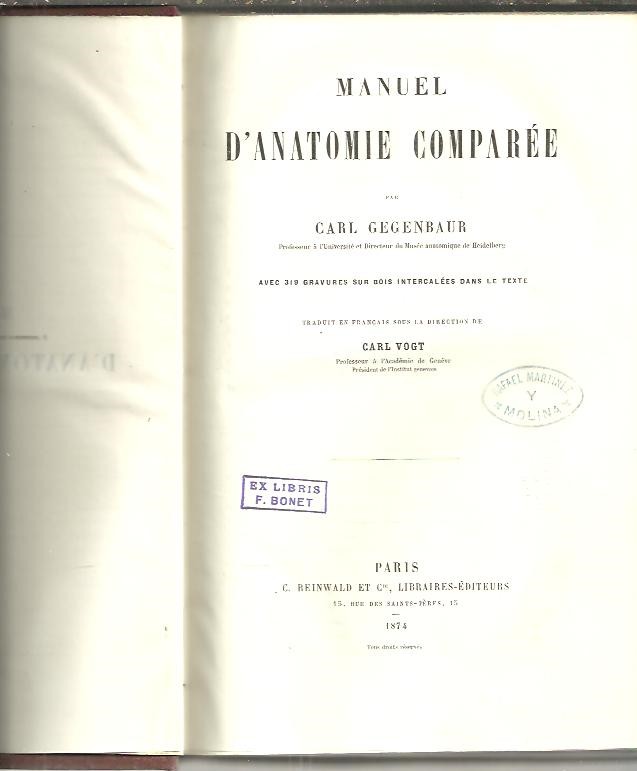 41013