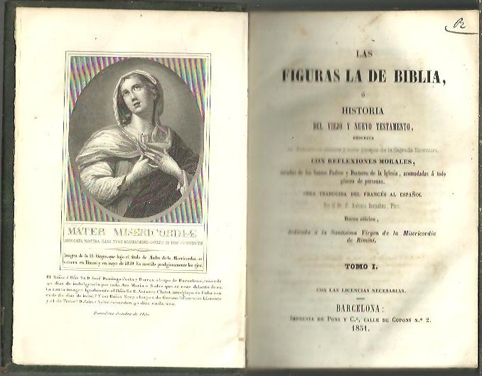 LAS FIGURAS DE LA BIBLIA, O HISTORIA DEL VIEJO Y NUEVO TESTAMENTO, DESCRITA EN DOSCIENTOS SESENTA Y SIETE PASAJES DE LA SAGRADA ESCRITURA, CON REFLEXIONES MORALES, SACADAS DE LOS SANTOS PADRES Y DOCTORES DE LA IGLESIA.