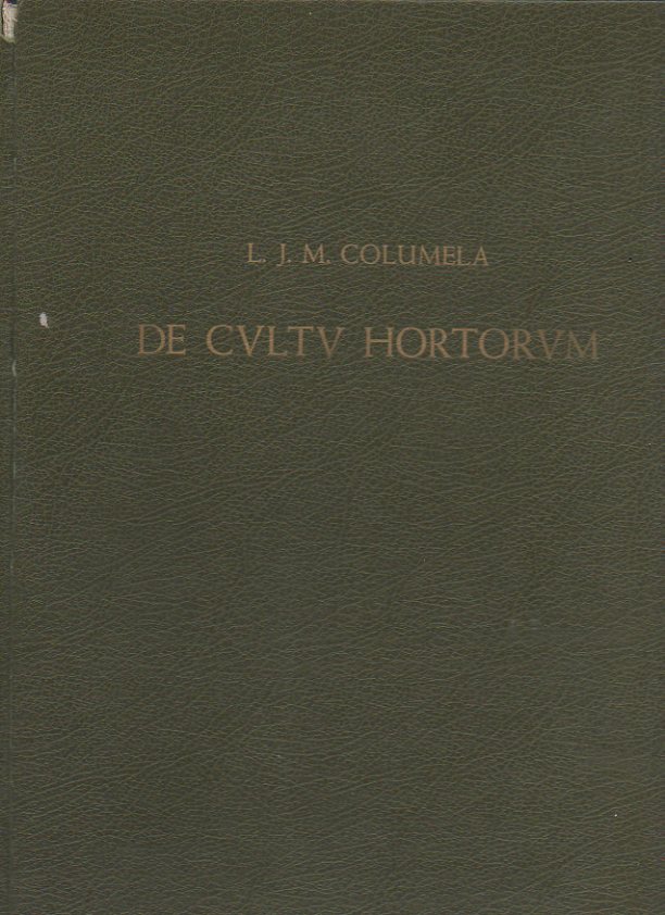 66906
