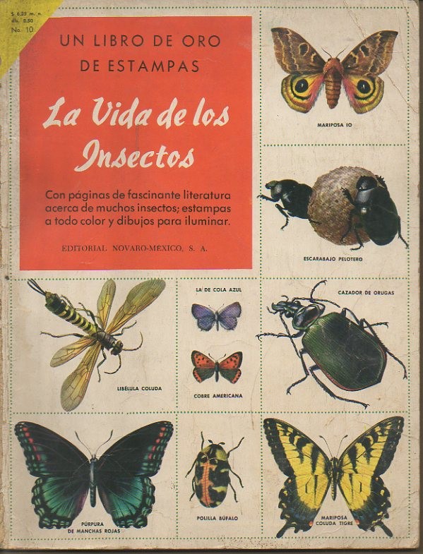 LA VIDA DE LOS INSECTOS.