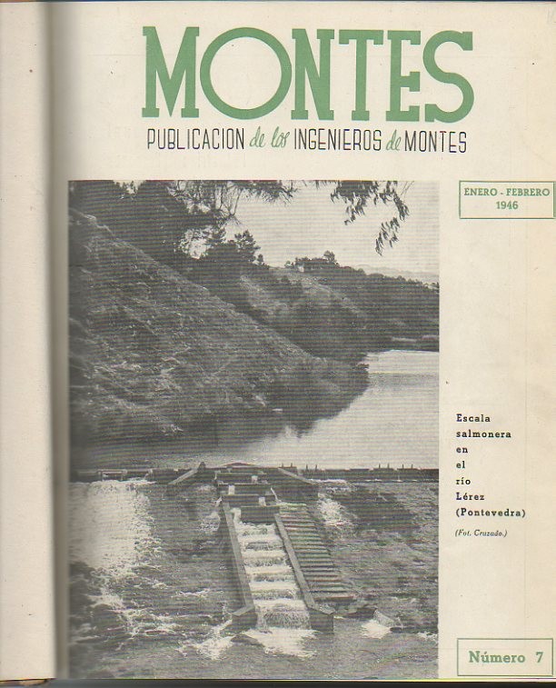 MONTES. PUBLICACION DEL CUERPO DE INGENIEROS DE MONTES. 1946. A�O II. N. 7-12