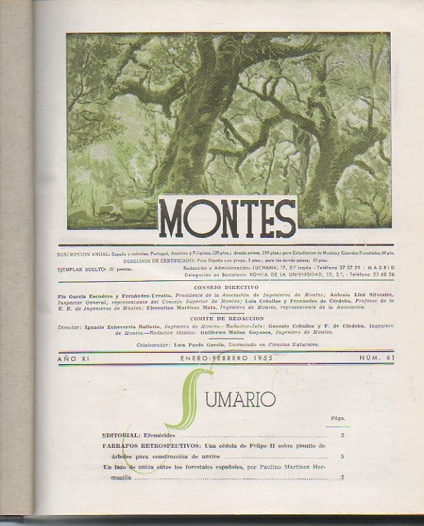 MONTES. PUBLICACION DEL CUERPO DE INGENIEROS DE MONTES. 1955. AO IX.N. 61-66.