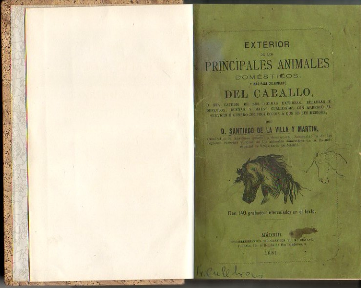 EXTERIOR DE LOS PRINCIPALES ANIMALES DOMESTICOS, Y MAS PARTICULARMENTE DEL CABALLO.